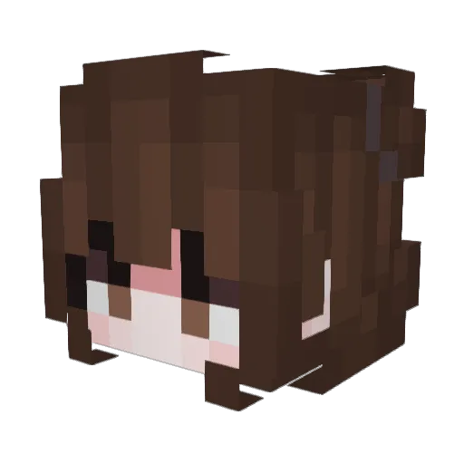 Raku5288 Minecraft avatar head, 3D render