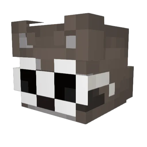 Rakun___ Minecraft avatar head, 3D render
