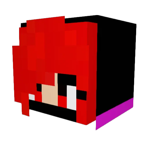 Ralax2007 Minecraft avatar head, 3D render