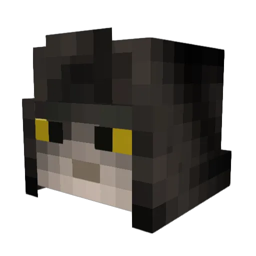Raldo5324 Minecraft avatar head, 3D render
