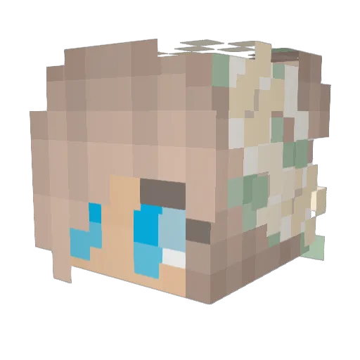 Raleigh2 Minecraft avatar head, 3D render