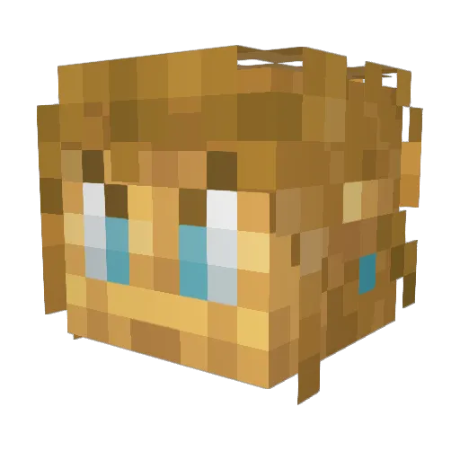 Ralen_Brizane Minecraft avatar head, 3D render