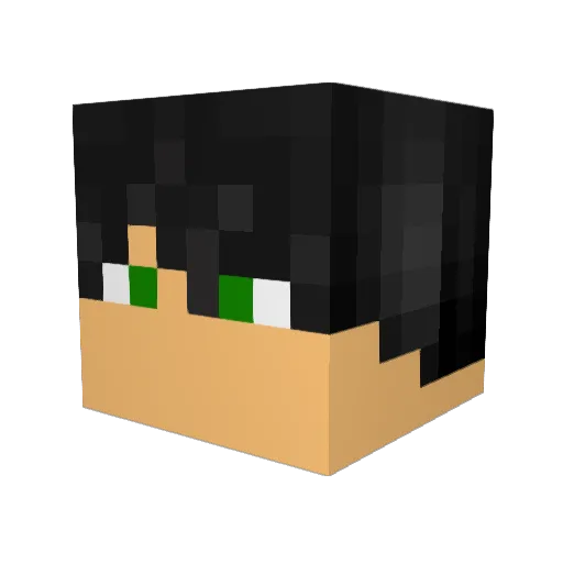 Ralfer_ Minecraft avatar head, 3D render