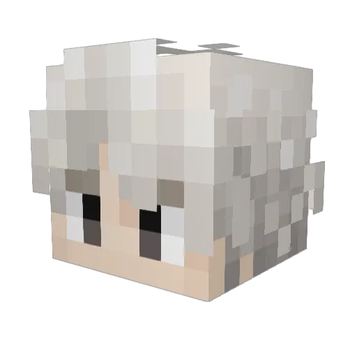 Ralfern Minecraft avatar head, 3D render