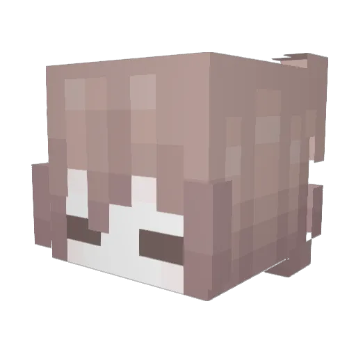 Ralfpro224 Minecraft avatar head, 3D render