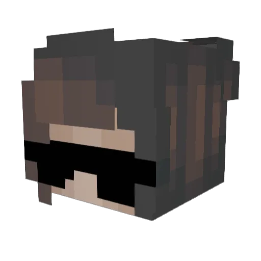 Ralle_63 Minecraft avatar head, 3D render