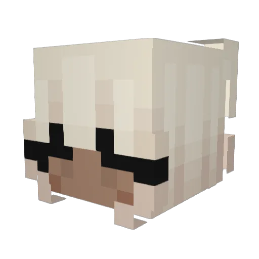Rallemuuss Minecraft avatar head, 3D render