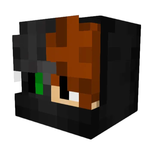 Ralliizzzz Minecraft avatar head, 3D render