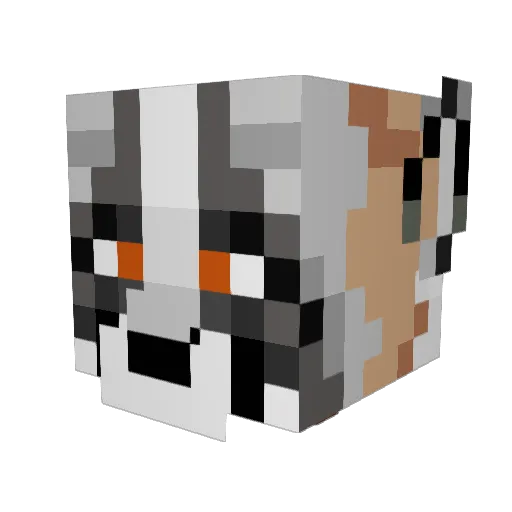 Ralliron Minecraft avatar head, 3D render