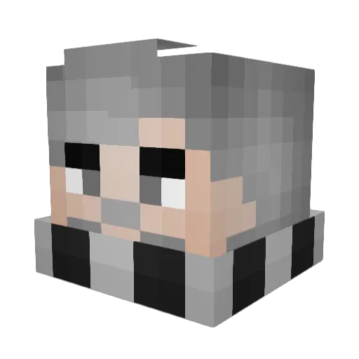 RallyDudoser Minecraft avatar head, 3D render