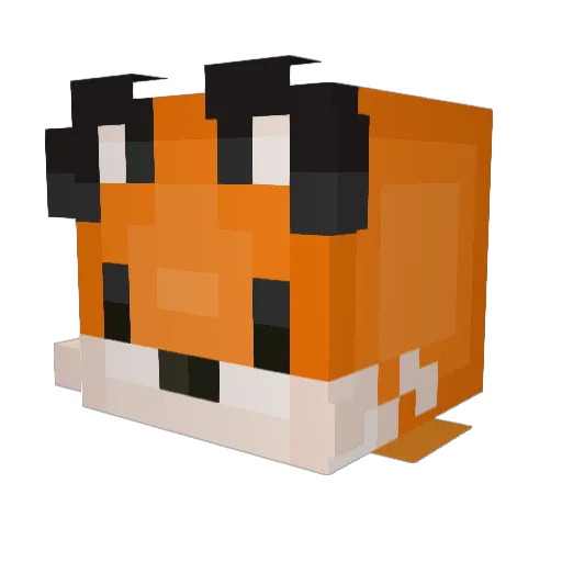 Ralon36 Minecraft avatar head, 3D render