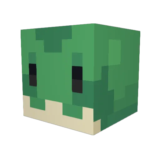 Ralph6917 Minecraft avatar head, 3D render