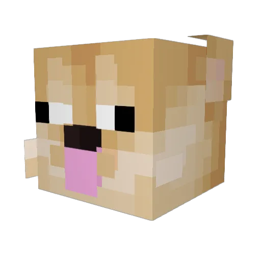 RalphWest Minecraft avatar head, 3D render