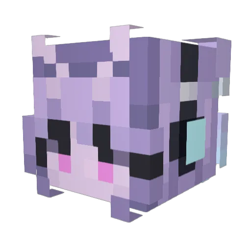 Ralpheal Minecraft avatar head, 3D render