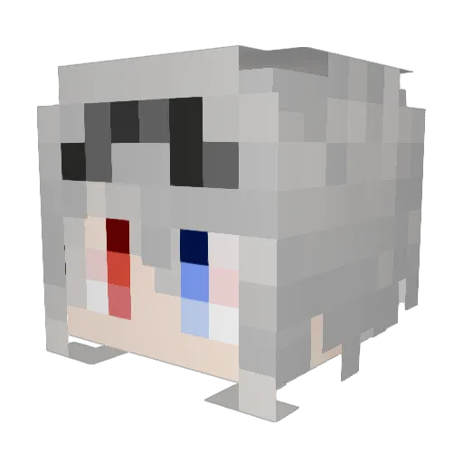 Rals_2099 Minecraft avatar head, 3D render