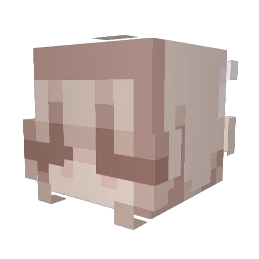 Raluu Minecraft avatar head, 3D render