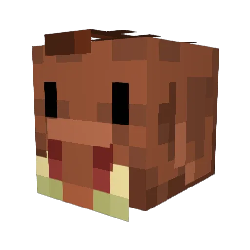 RamBoarBoi Minecraft avatar head, 3D render