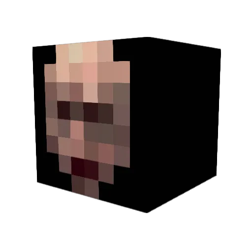 Ramaged Minecraft avatar head, 3D render