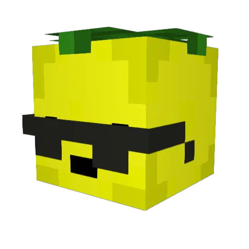 Ramalarana06 Minecraft avatar head, 3D render