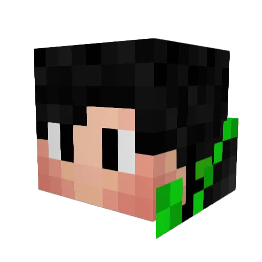 Ramanthebest22 Minecraft avatar head, 3D render