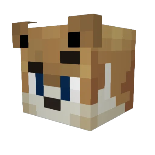 Ramazote Minecraft avatar head, 3D render