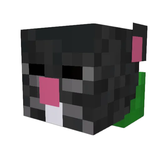 Rambo055 Minecraft avatar head, 3D render