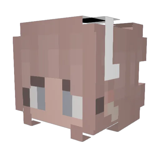 Rambridge007 Minecraft avatar head, 3D render