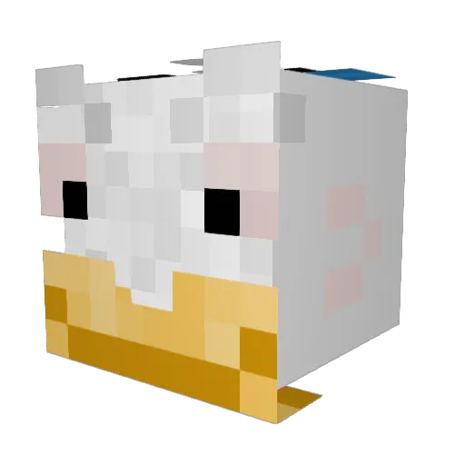 RambunctiousDuck Minecraft avatar head, 3D render
