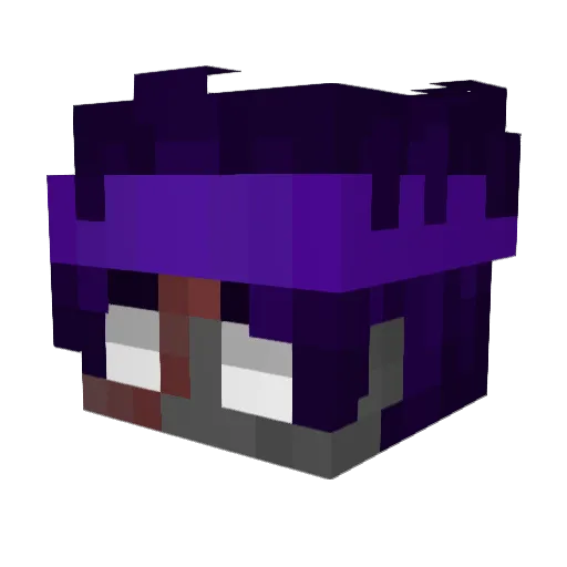 RameN00dlesoup Minecraft avatar head, 3D render