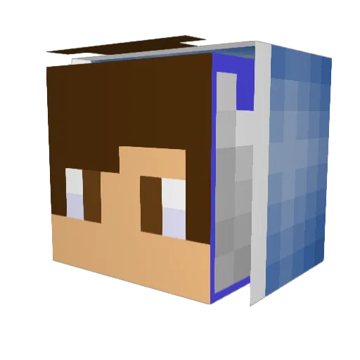 Ramen135 Minecraft avatar head, 3D render