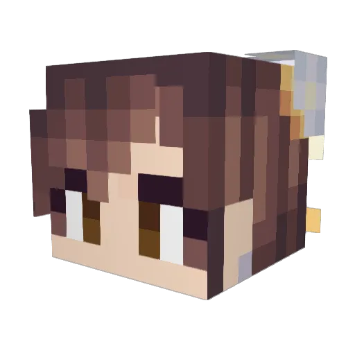 Ramen_Water Minecraft avatar head, 3D render