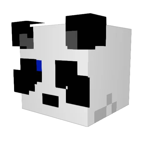 RamennNoodles Minecraft avatar head, 3D render