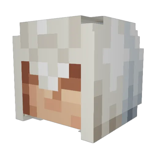 Rameu Minecraft avatar head, 3D render