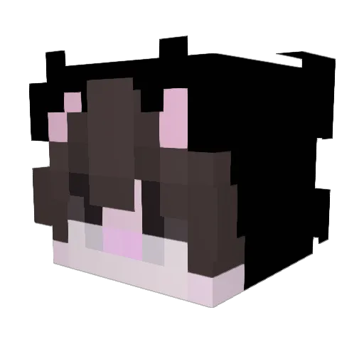 Ramezsushi Minecraft avatar head, 3D render