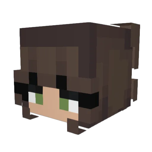 RamiHasMangos Minecraft avatar head, 3D render