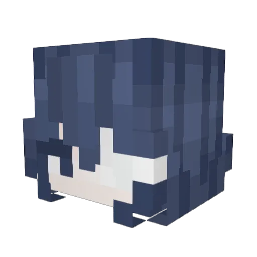 RamieL500 Minecraft avatar head, 3D render