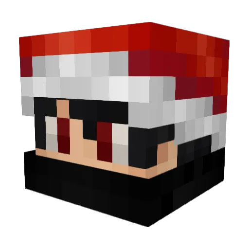 RaminBosna Minecraft avatar head, 3D render