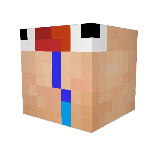 Ramit_In_mAsshol Minecraft avatar head, 3D render