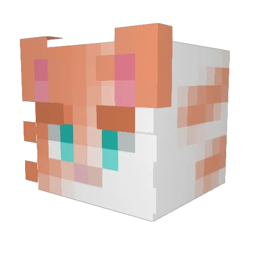Ramma4414 Minecraft avatar head, 3D render