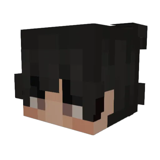 RammusDono Minecraft avatar head, 3D render