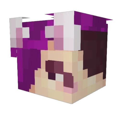 RammyLIVE Minecraft avatar head, 3D render