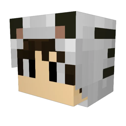 Ramon2k Minecraft avatar head, 3D render