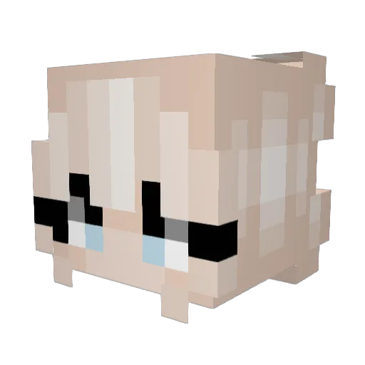 Ramon_knx Minecraft avatar head, 3D render