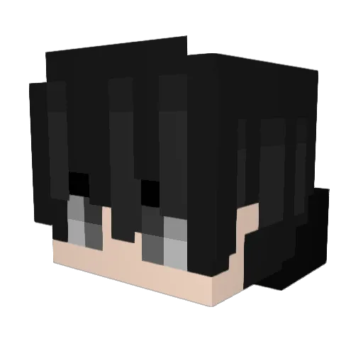 Rampage494 Minecraft avatar head, 3D render