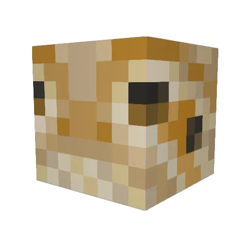 RampageRey123 Minecraft avatar head, 3D render