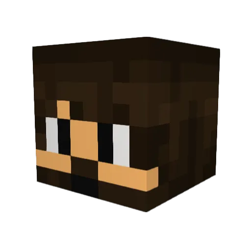 RampagingPanda Minecraft avatar head, 3D render