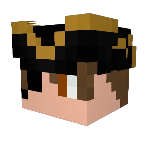 RampantPirate Minecraft avatar head, 3D render