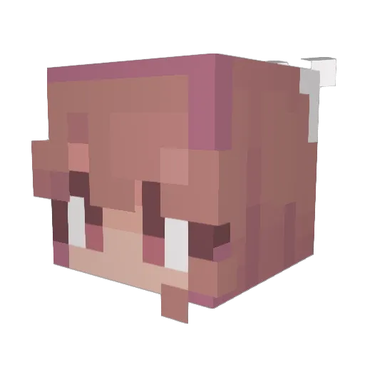 Rampzalig_ Minecraft avatar head, 3D render