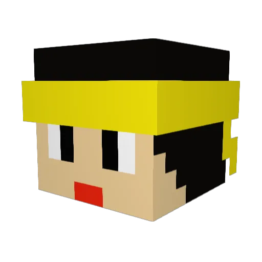 Ran77 Minecraft avatar head, 3D render