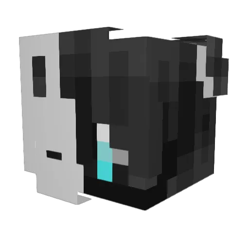 Ran7_ Minecraft avatar head, 3D render